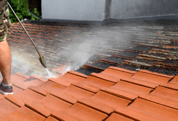 Best Residential Pressure Washing Services  in Jupiter Farms, FL